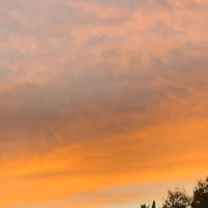 Meet your Posher, Arelie